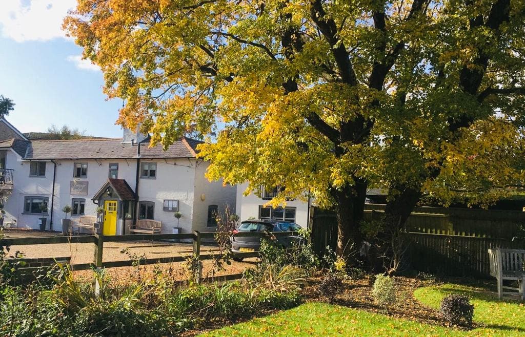 Cottage Lodge Hotel | Eco-chic Boutique Hotel in the heart of The New Forest