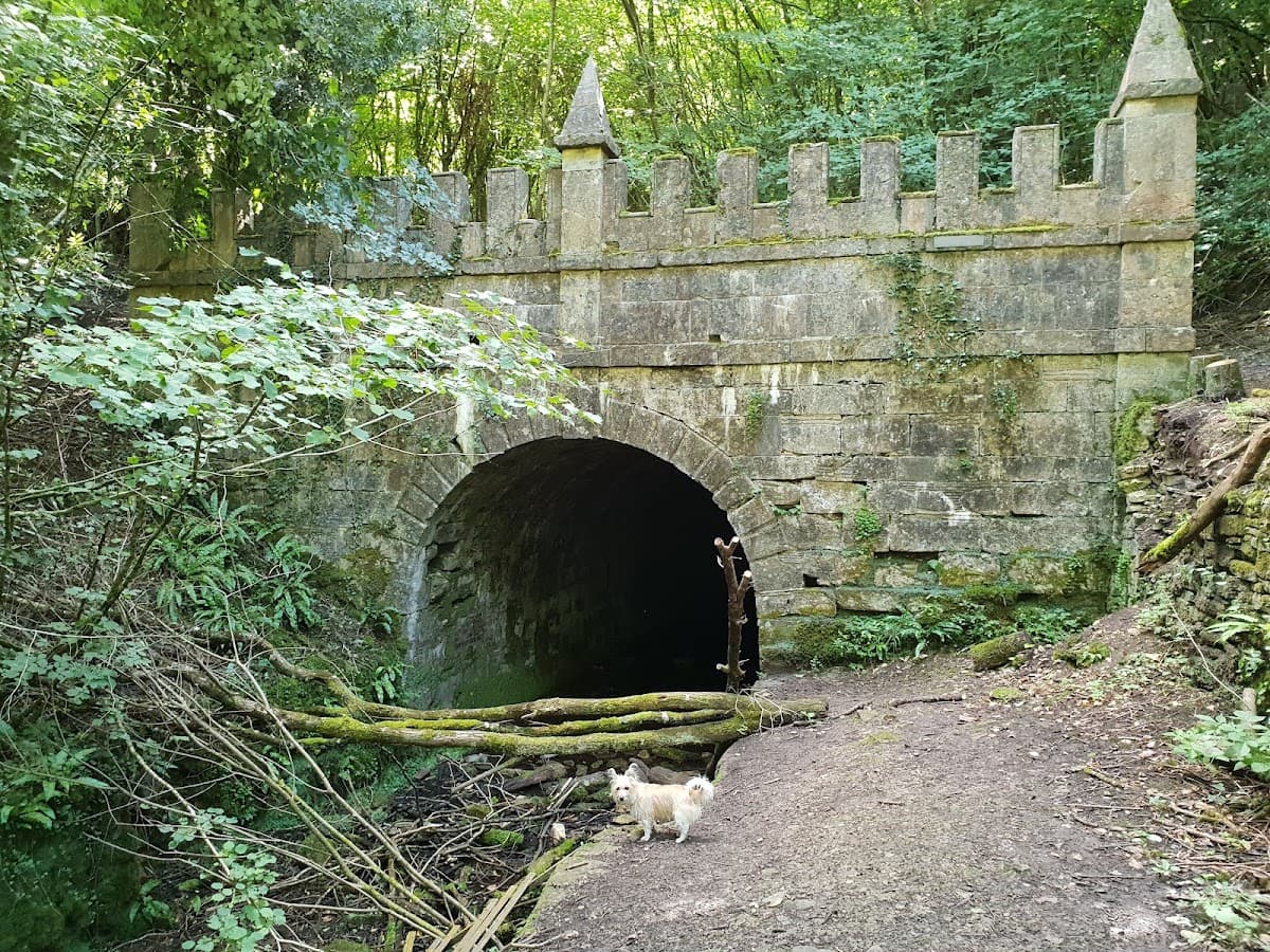 Siccaridge Wood