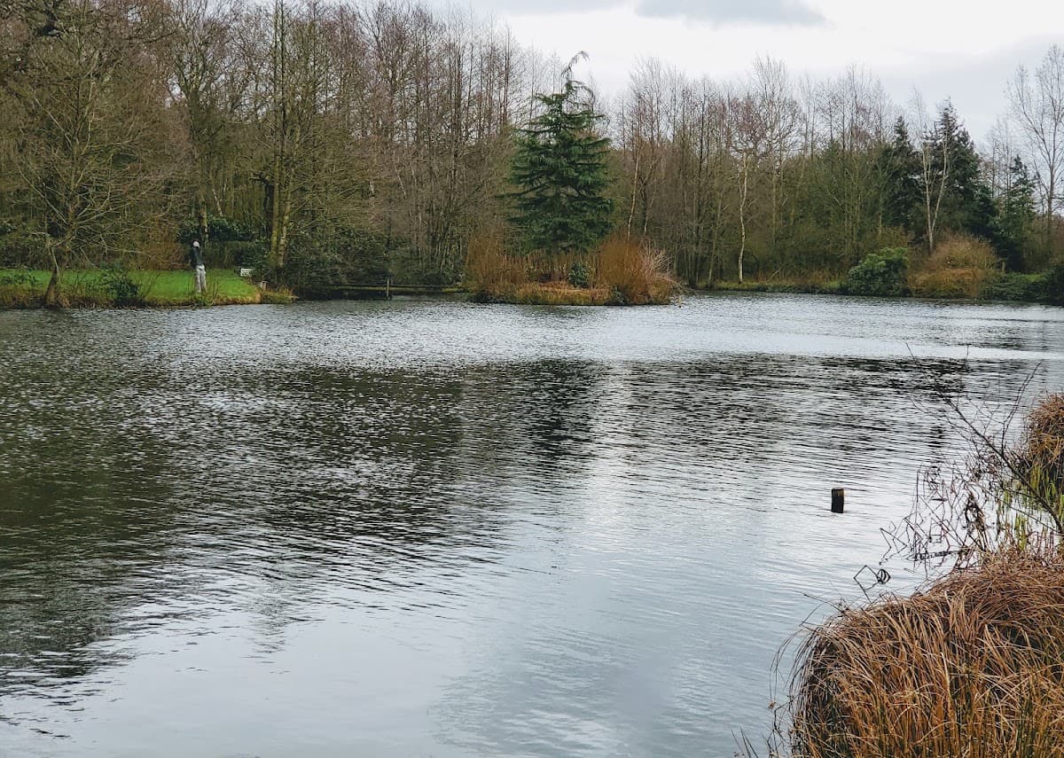 Marton Heath Trout Pools