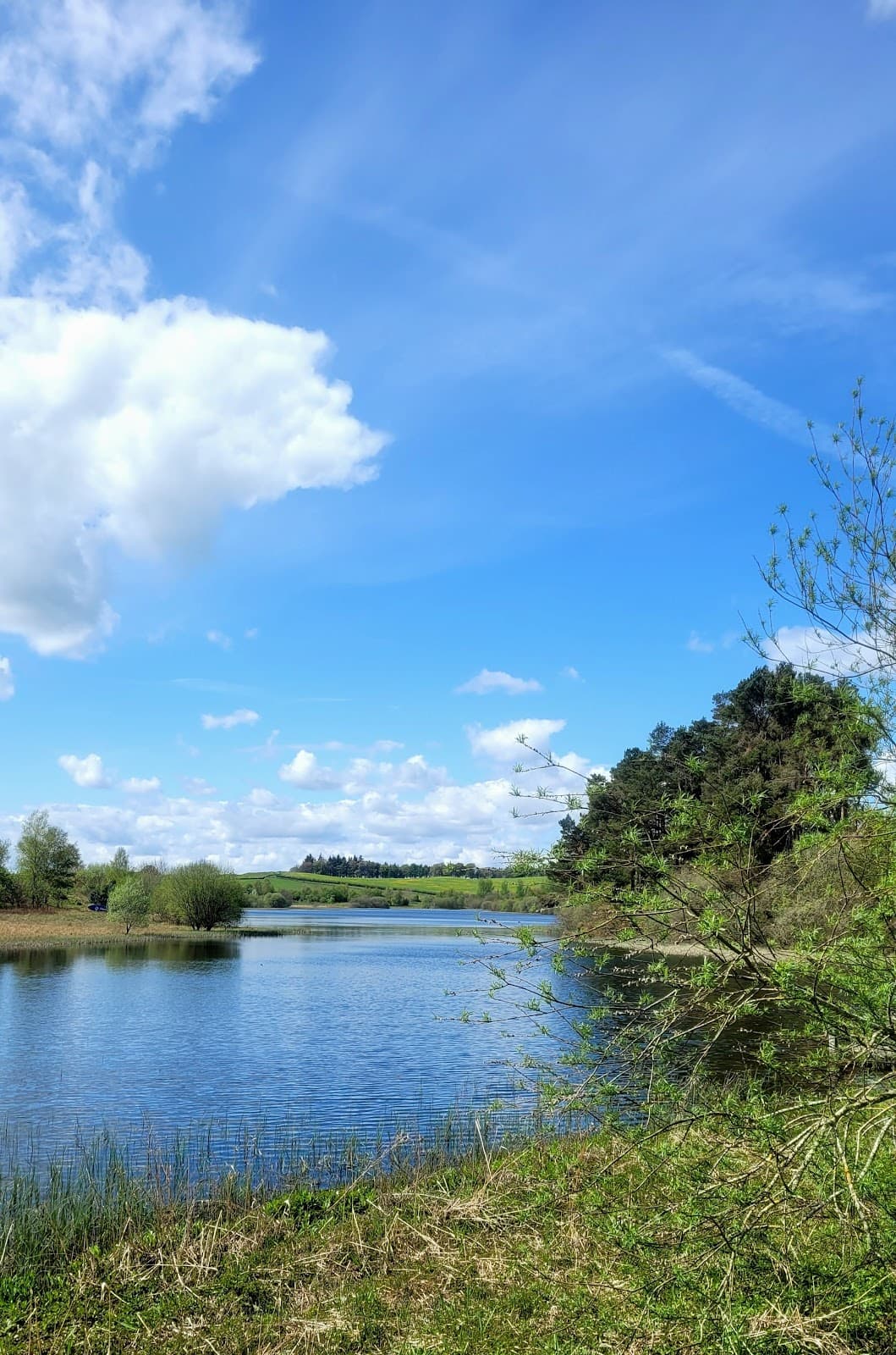 Lindean Loch