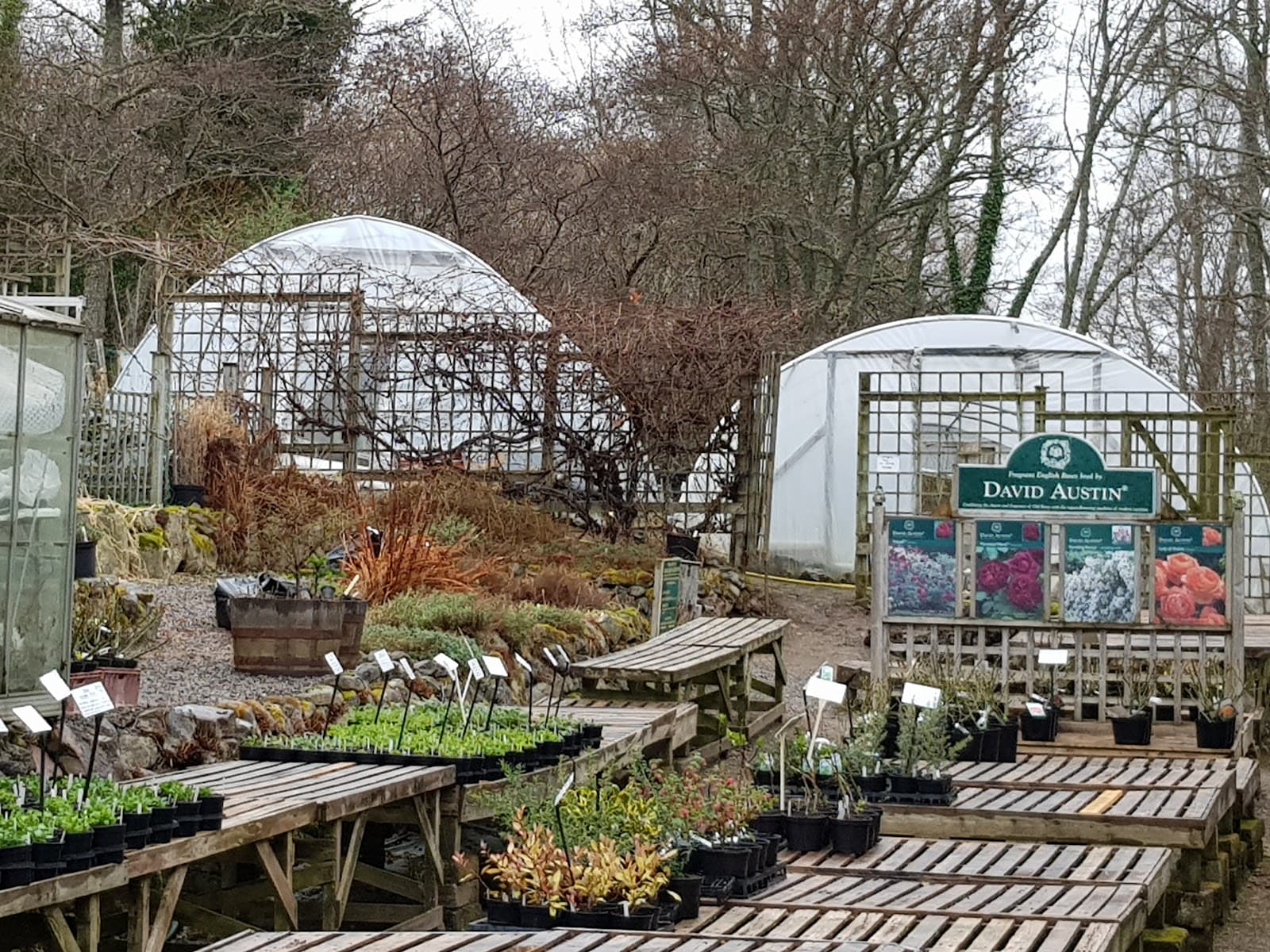 Abriachan Garden Nursery