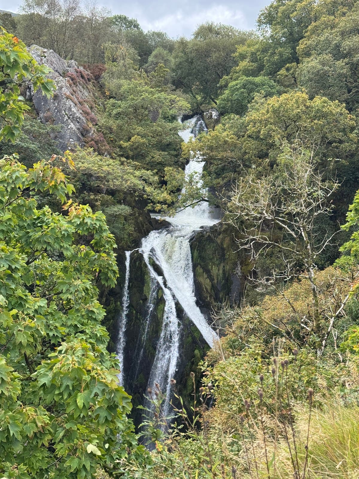 Ceunant Mawr