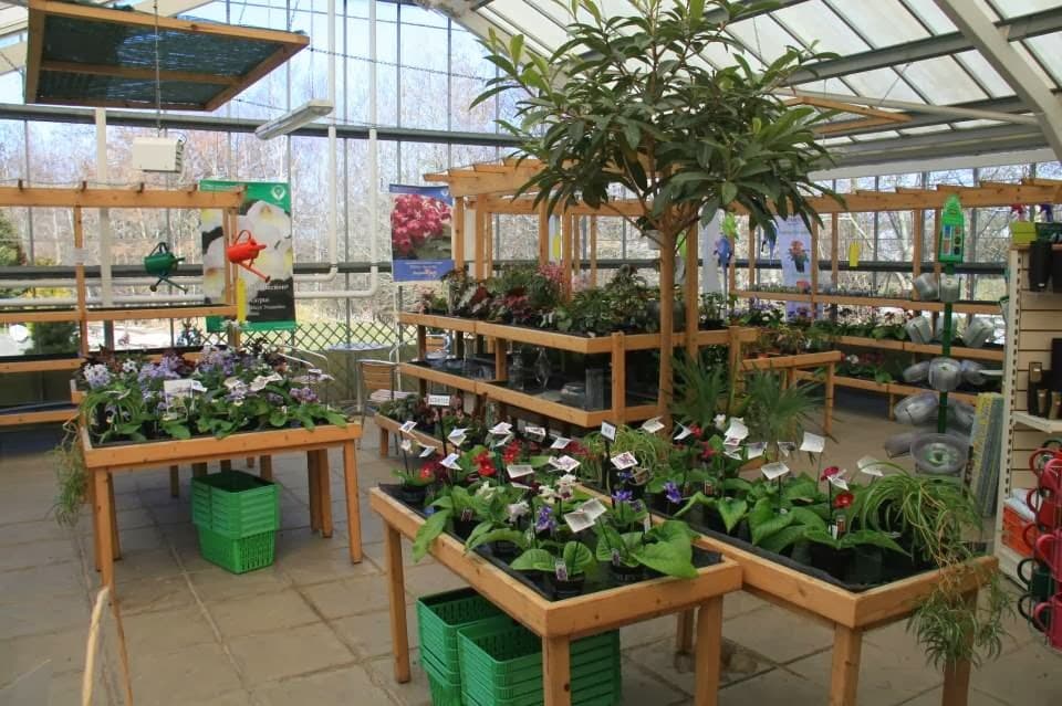 Dibleys Nurseries