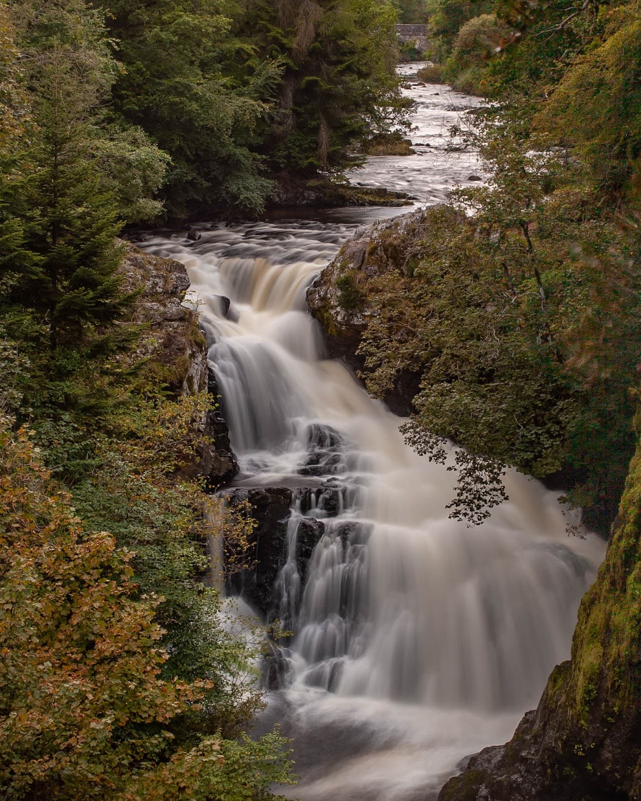 Reekie Linn