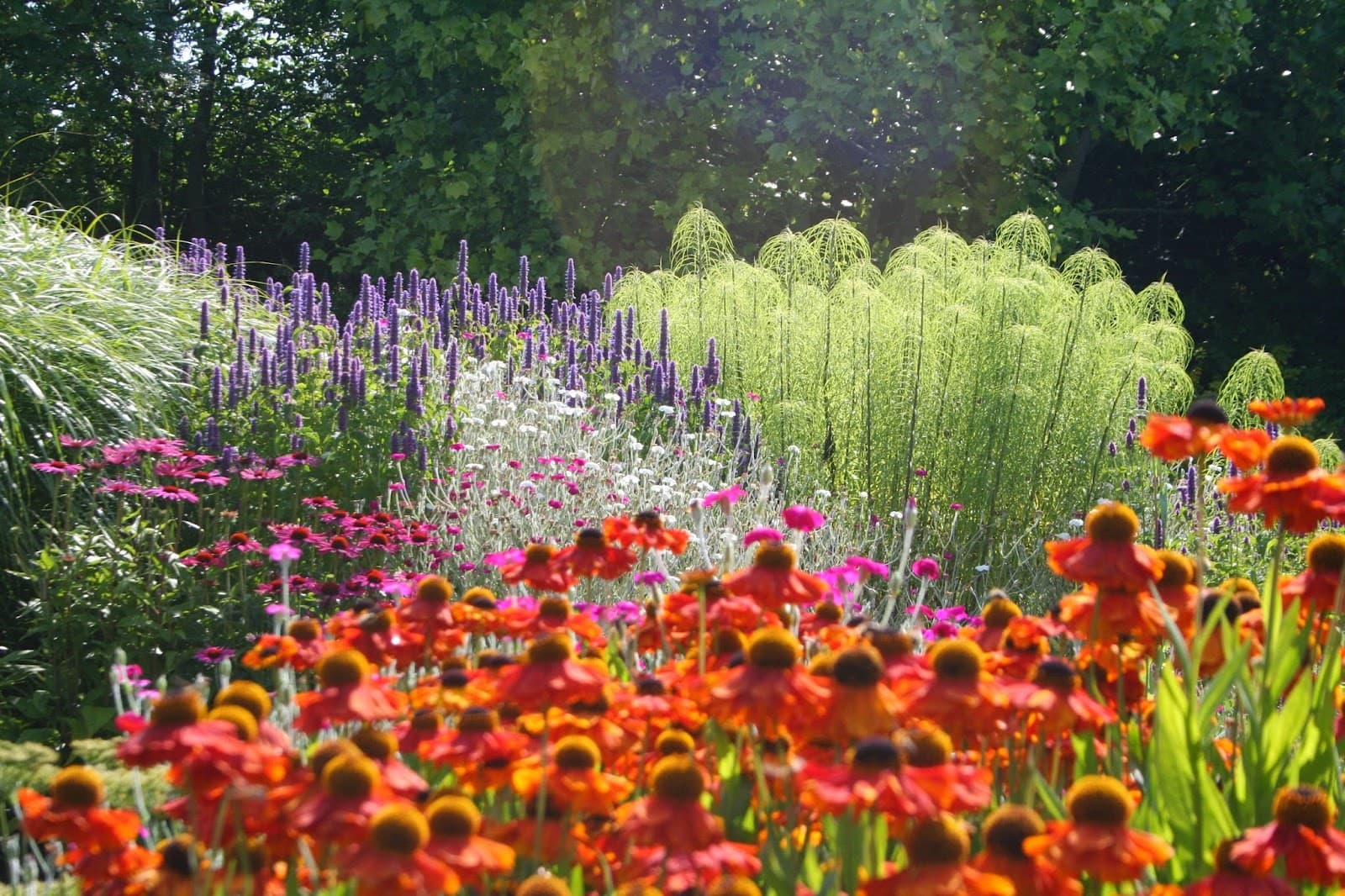 Bluebell Cottage Gardens & Nursery