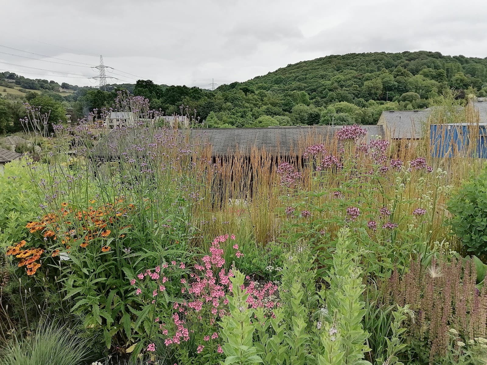 Dove Cottage Nursery & Garden
