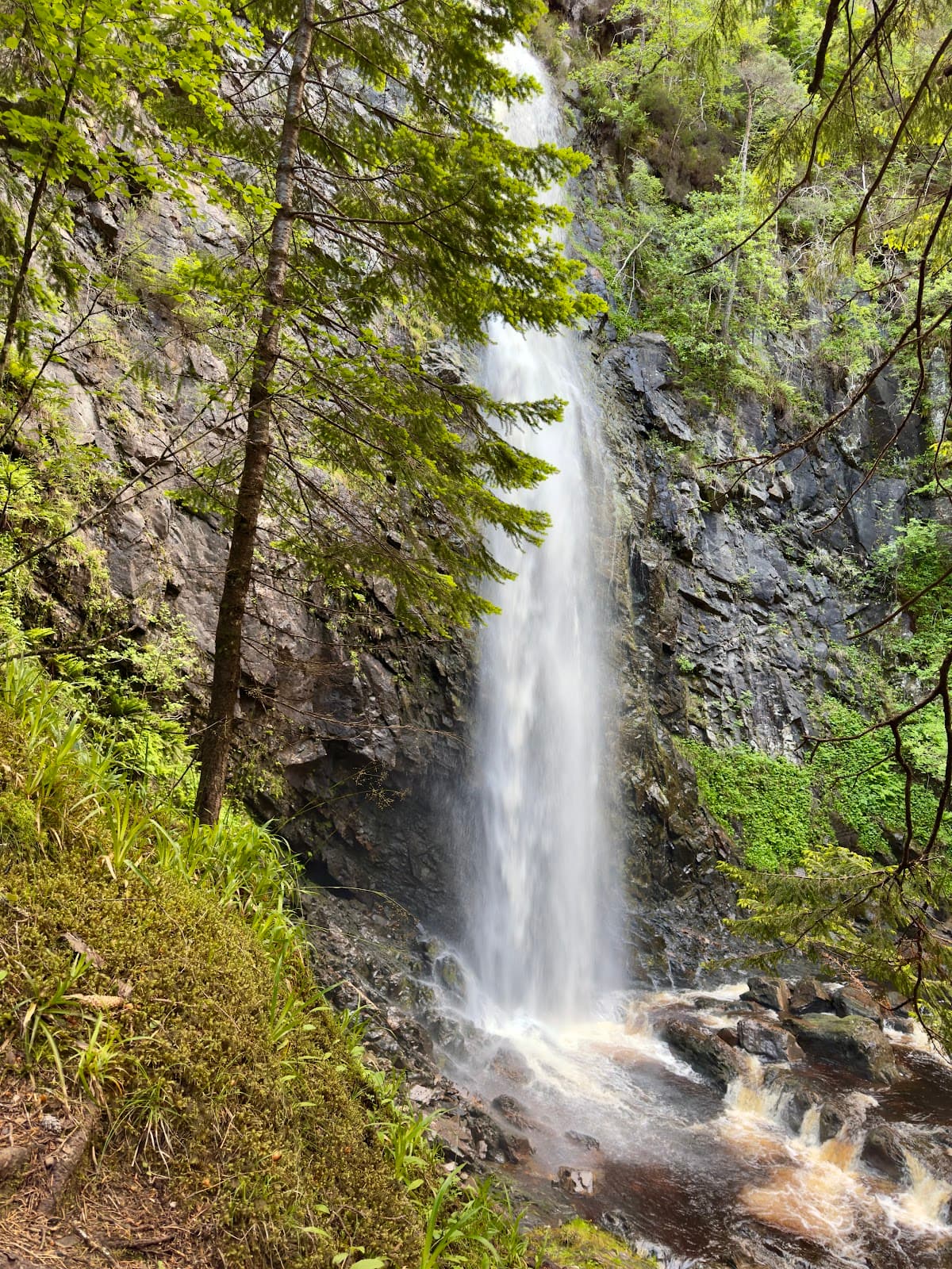 Plodda Falls