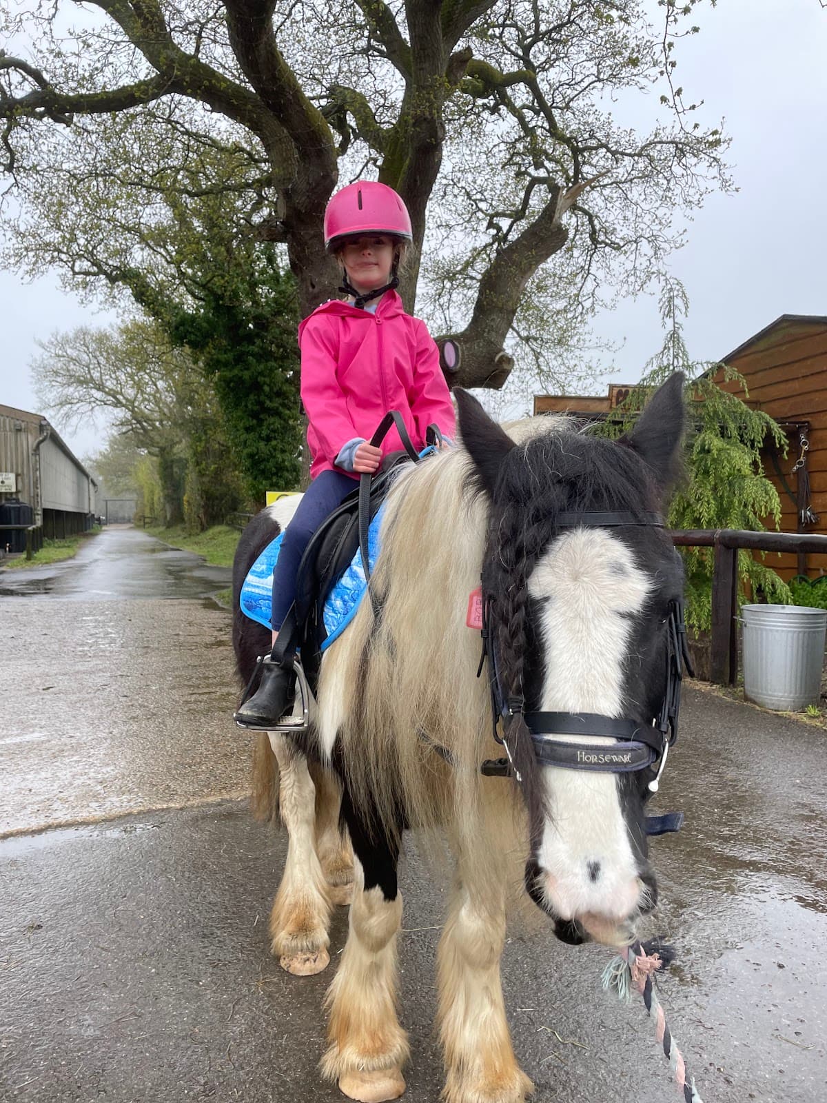 Burley Villa School of Riding