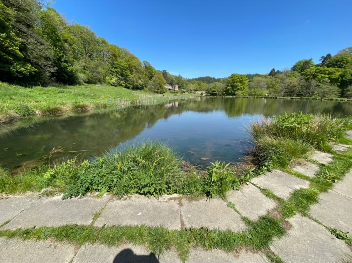 Danebridge Fisheries