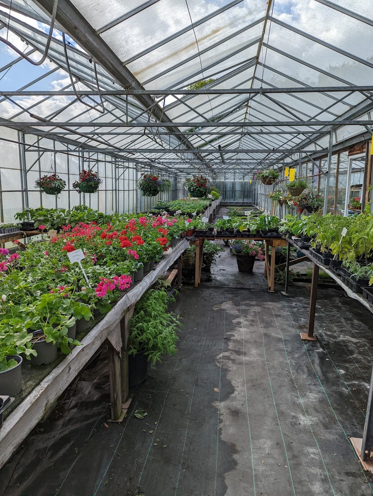 Stanton Hall Gardens & Plant Nursery