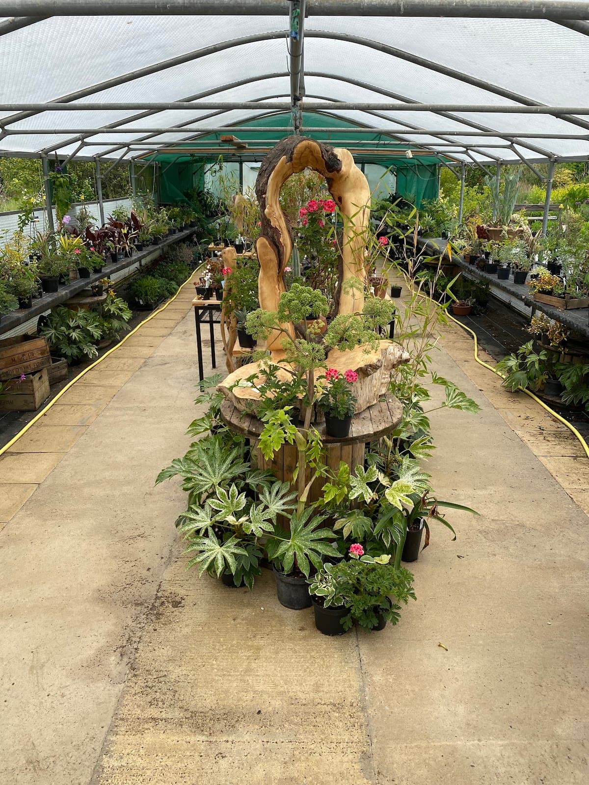 Cotswold Garden Flowers