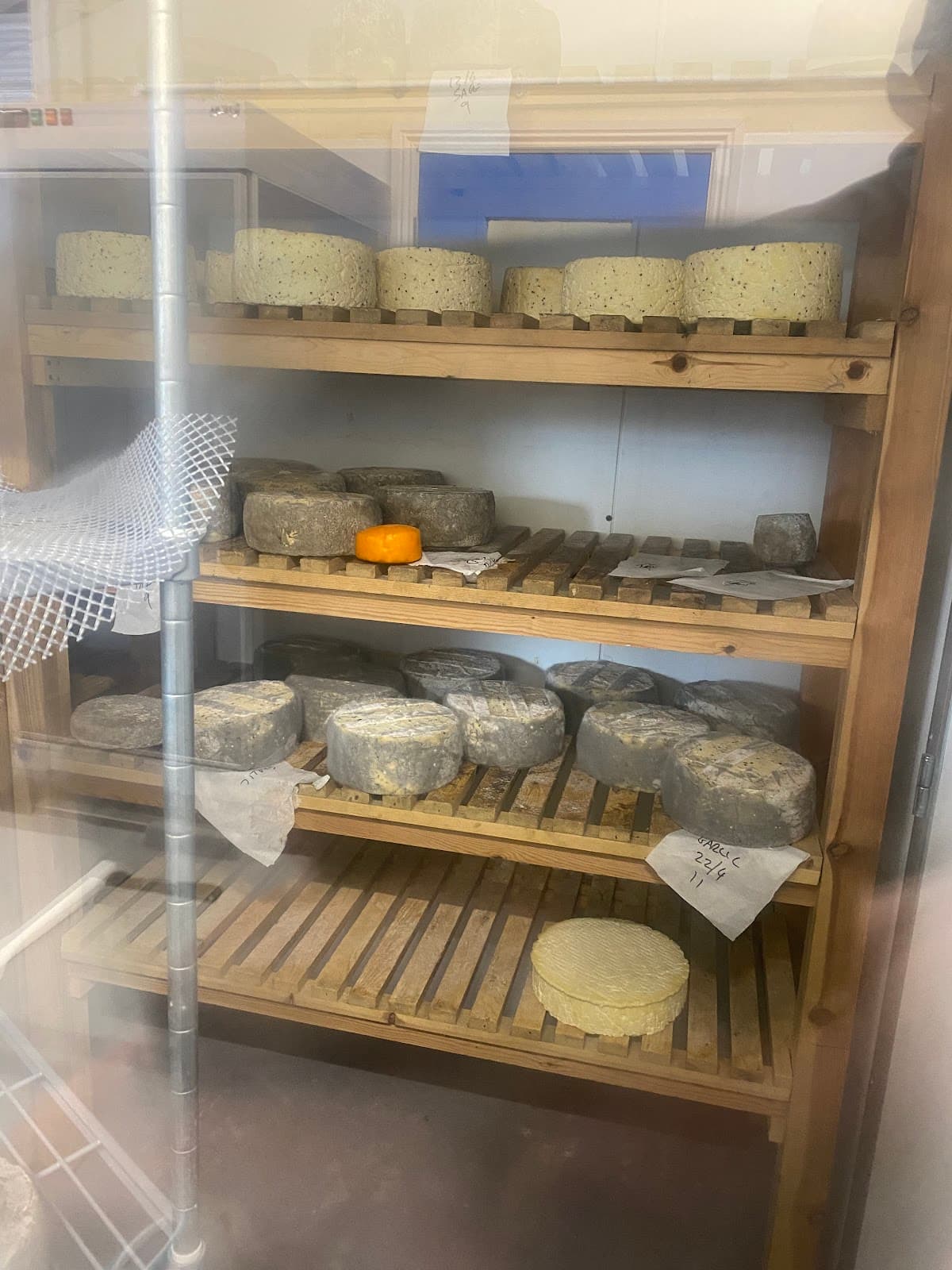 Laceys Cheese