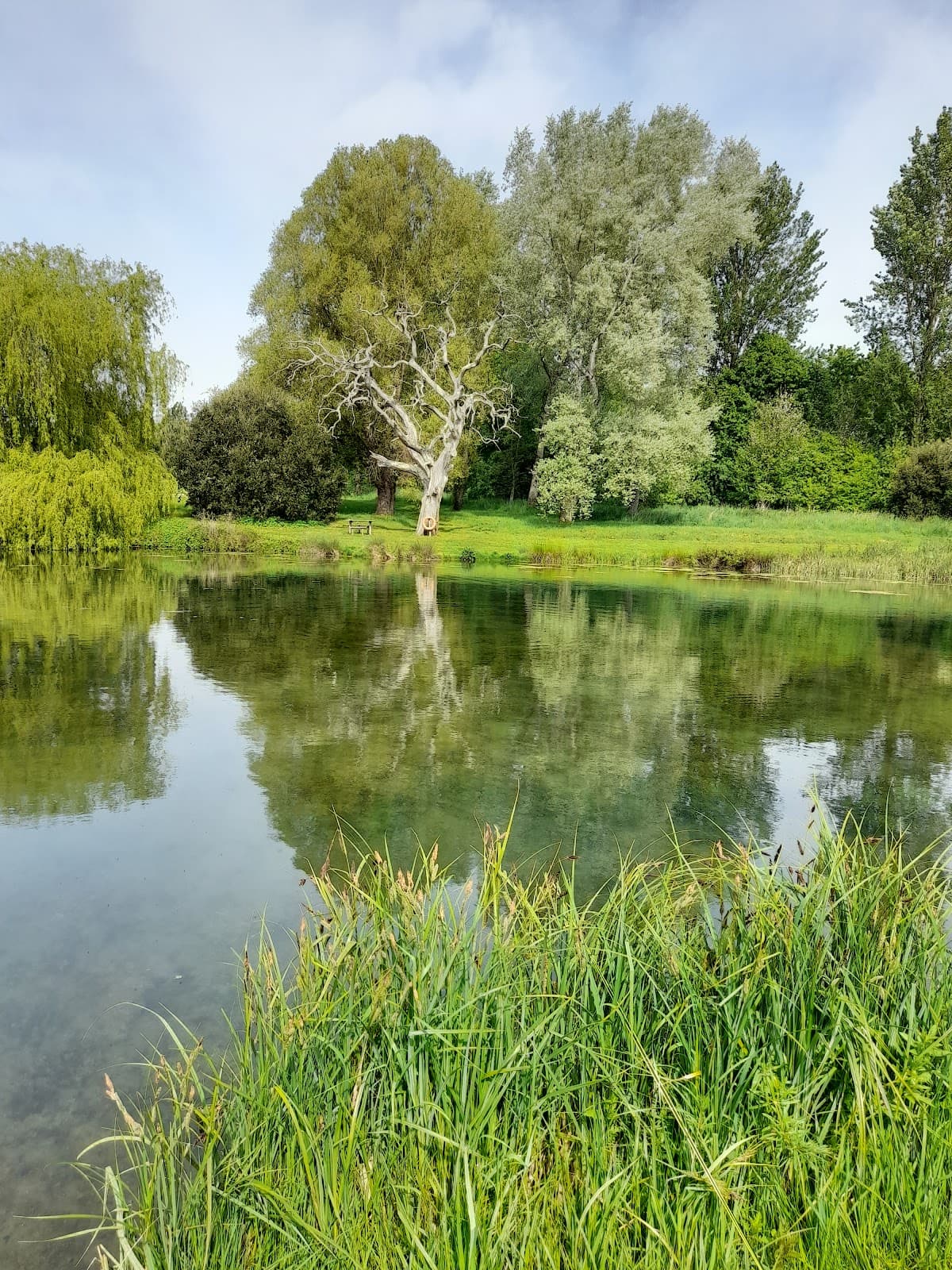 Holbury Lakes Trout Fishery